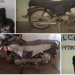 AVLC arrests 5 motorcycle lifters in karachi
