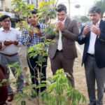 کراچی میں جدید ٹیکنالوجی کے ذریعے 300 اربن فارسٹ لگائے جائیں گے۔لئیق احمد