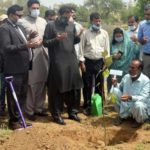 مرتضیٰ وہاب کی شجرکاری مہم میں شرکت، پودے مفت تقسیم، سوشل میڈیا پر دلچسپ تبصرے