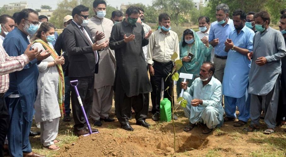 مرتضیٰ وہاب کی شجرکاری مہم میں شرکت، پودے مفت تقسیم، سوشل میڈیا پر دلچسپ تبصرے