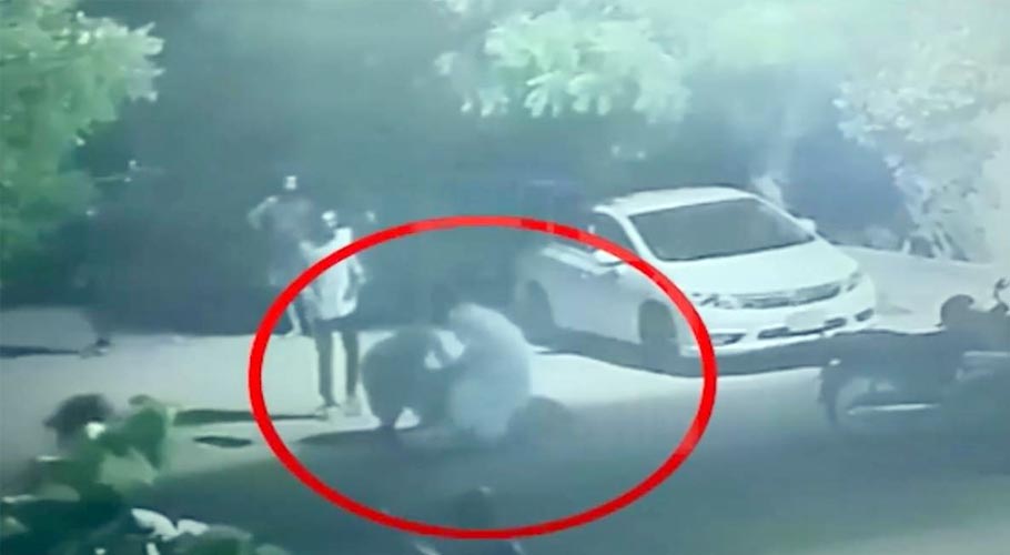 پالتو شیر نے بچے کو دبوچ کر شدید زخمی، ویڈیو وائرل ہوگئی