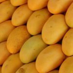 Mango Export in pakistan