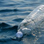 World Oceans Day 2021