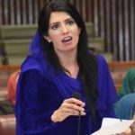 Aliya Hamza Malik criticized the Liberals