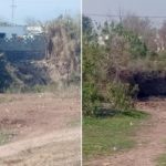بری امام کی سرکاری اراضی پر غیرقانونی طورپر جانوروں کے باڑے دوبارہ قائم