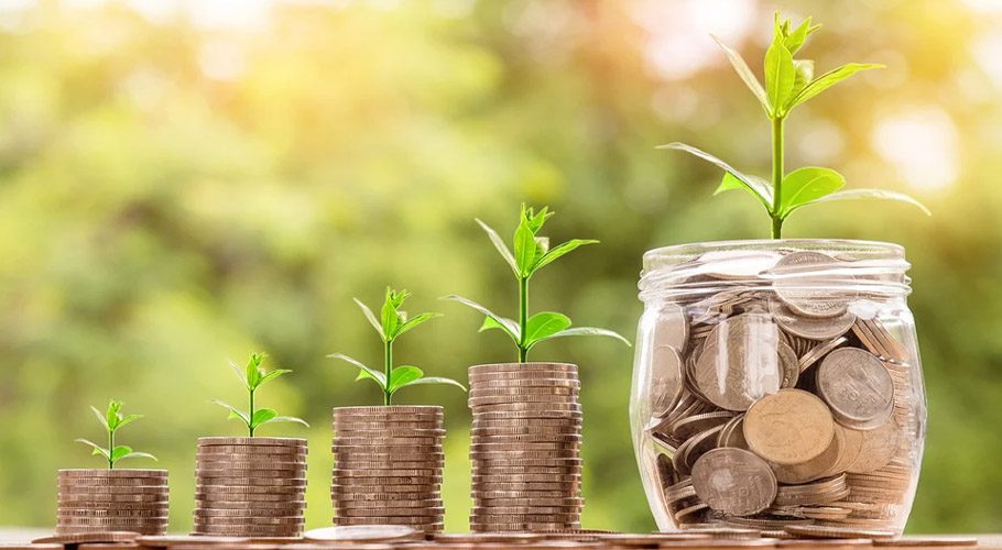 بجٹ 2021، نئے مالی سال کیلئے جی ڈی پی کی شرحِ نمو 4.8 فیصد رکھنے کا فیصلہ