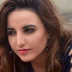 FIA APPROACHES BANKS TO FREEZE TIKTOKER HAREEM SHAH’S ACCOUNTS