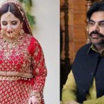 ٹک ٹاک اسٹار حریم شاہ نے ناصر حسین شاہ سے شادی کرلی، نجی ٹی وی کا دعویٰ