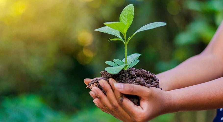 پاکستان سمیت دُنیا بھر میں ماحولیات کا عالمی دن آج منایا جارہا ہے