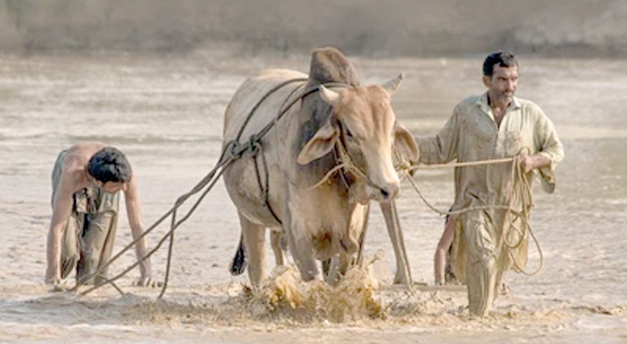 Sindh government announces to give People's Card to small farmers