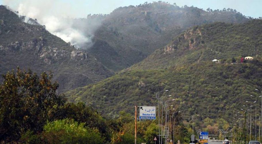 مارگلہ پہاڑوں پر غیرقانونی طور پر درخت کاٹنے اور تعمیرات کا سلسلہ جاری