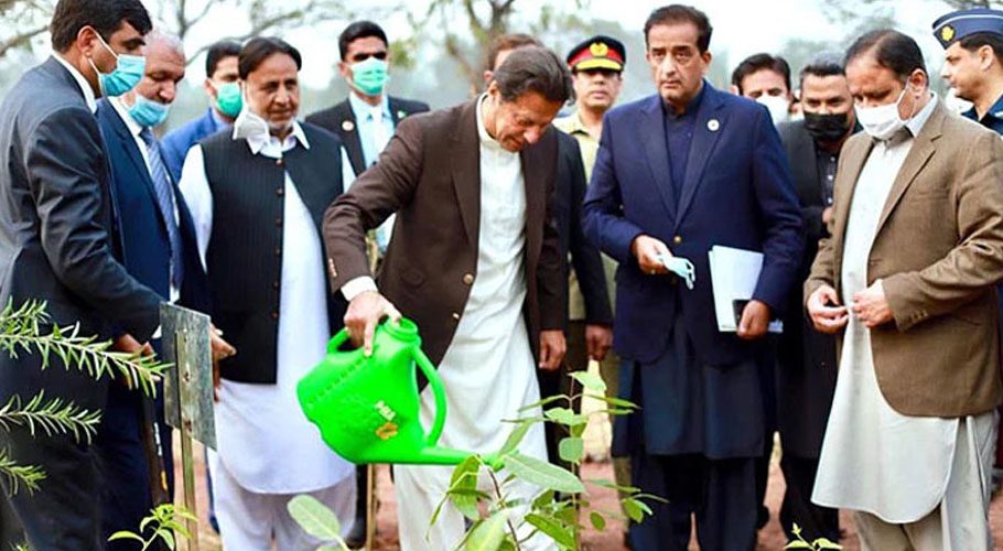 نوجوان تاریخ کی سب سے بری شجرکاری مہم میں حصہ لینے کے لیے تیار رہیں، وزیراعظم
