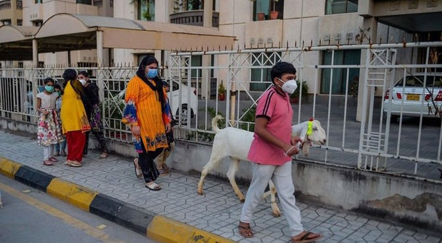 پاکستان میں کورونا کے 2 ہزار 545 نئے کیسز رپورٹ، 47 مزید شہری جاں بحق