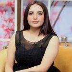 hareem shah honeymoon