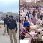 Police strategy developed to curb vehicle thefts in cattle market