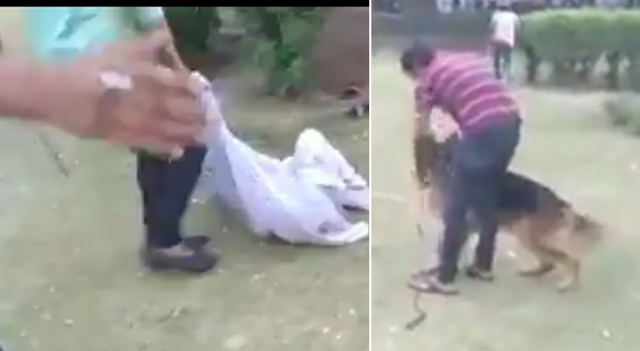 Wealthy man unleashes dogs on balloon boy in Lahore