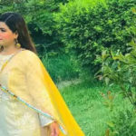 ہراسگی کا واقعہ کیا واقعی حقیقت پر مبنی ہے یا عائشہ نے شہرت کے لیے سب کچھ کیا؟