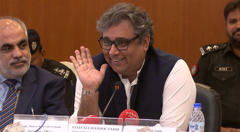 ملک میں صدارتی نظام کی باتیں بلی کے خواب میں چھیچھڑے ہیں،علی زیدی