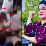 Ayesha Akram identify 6 suspects in harassment case