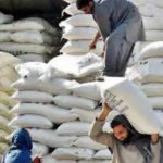 flour would be available at Rs 40 per kg in sindh : Murtaza Wahab