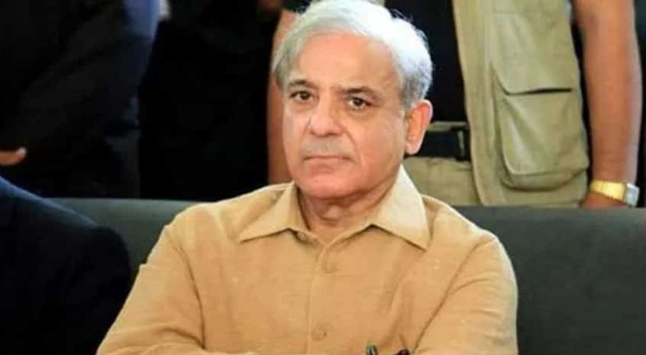 شہباز شریف سیڑھیوں سے گر کر زخمی، سیاسی سرگرمیاں معطل کر دیں