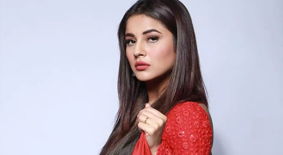 شہناز گل نے سدھارتھ شکلا کی تعریف کیلئے گانا ریلیز کردیا