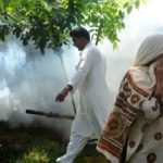 Pakistan dengue cases
