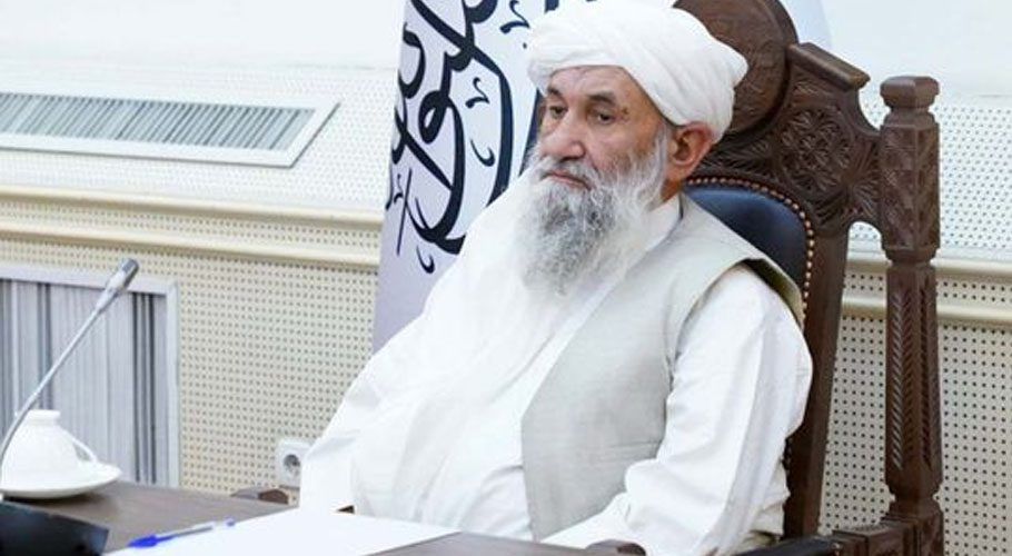 افغانستان دیگر ممالک کے معاملات میں مداخلت نہیں کریگا۔محمد حسن اخوند