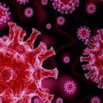 WHO names new coronavirus variant ‘omicron’, classifies it as ‘highly transmissible’