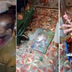 رنچھوڑ لائن نارائن پورہ میں مندر پر حملہ، مورتیوں کی توڑ پھوڑ، حالات کشیدہ