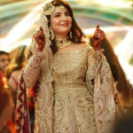 تصویری تجزیہ، اریبہ حبیب کی تقریبِ شادی میں شوبز ستاروں کی شرکت