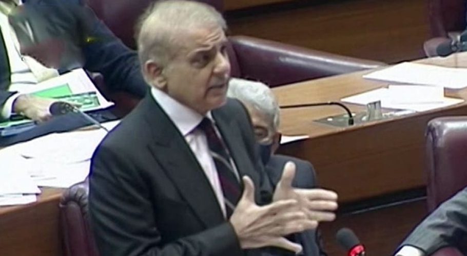 حکومت نے ایک ارب ڈالر کی خاطر آئی ایم ایف کے سامنے گھٹنے ٹیک دیے، شہباز شریف