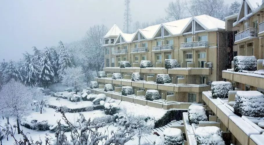 MURREE HOTELS