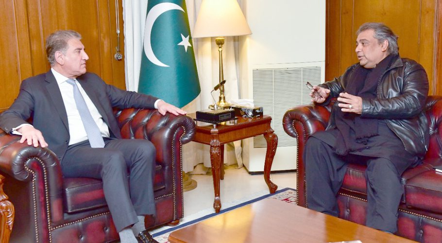 Ali Zaidi and Qureshi agreed to continue the struggle against Sindh LG system