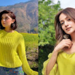 علیزے شاہ بدتمیز قرار دینے پر زرنش سے ناراض، نام لیے بغیر جواب دے دیا