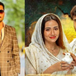 اے مشتِ خاک میں فیروز خان کے کردارکو شک کا فائدہ دیا جاسکتا ہے۔اسد صدیقی