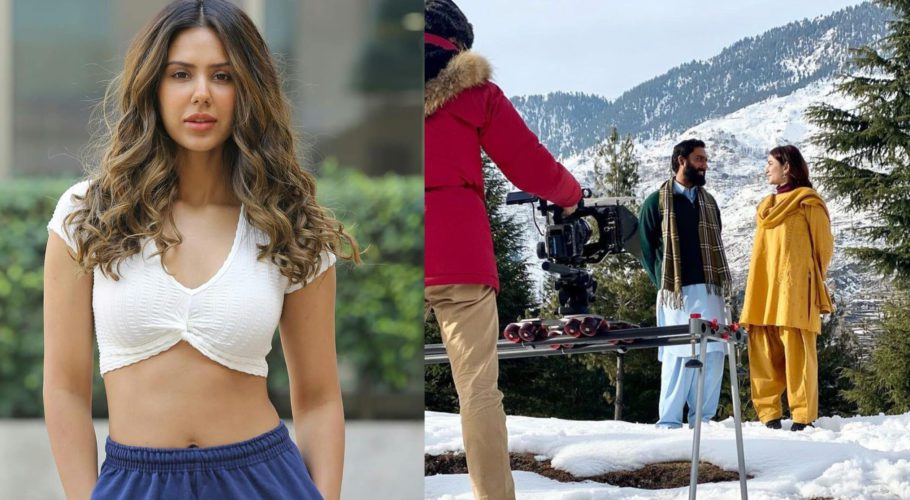 Parizaad goes beyond borders as another Bollywood actor praises drama