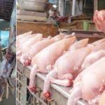 کراچی میں مرغی اور بکرے کے گوشت کی قیمتیں مقرر کردی گئیں