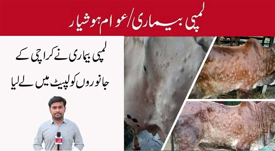 لمپی سکن بیماری کے بارے میں ڈاکٹروں کا کیا کہنا ہے؟جانئے