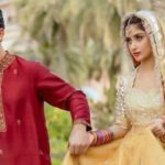 احد رضا میر کے خفیہ تعلقات سجل علی سے طلاق کا سبب بنے