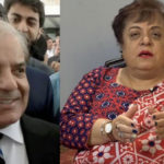 نام لیے بغیر تنقید، شہباز شریف مریم نواز کی بات کر رہے ہیں۔ شیریں مزاری