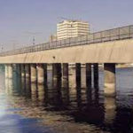 woman attempted to suicide along with her children
