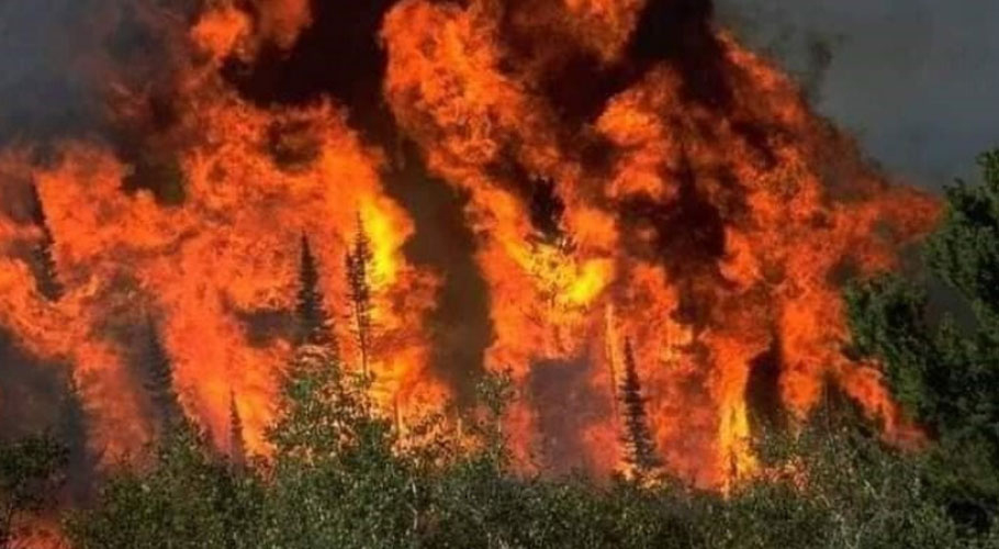 بلوچستان کے جنگلات میں لگی آگ پر 14 روز بعد قابو پالیا گیا