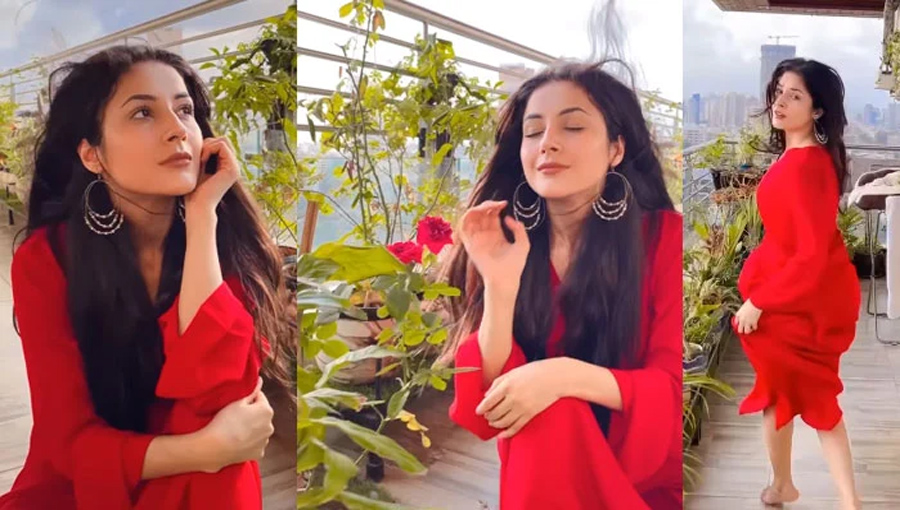 پڑوسی ملک میں ’پسوڑی‘ کے چرچے، شہناز گل نے ویڈیو اپلوڈ کردی