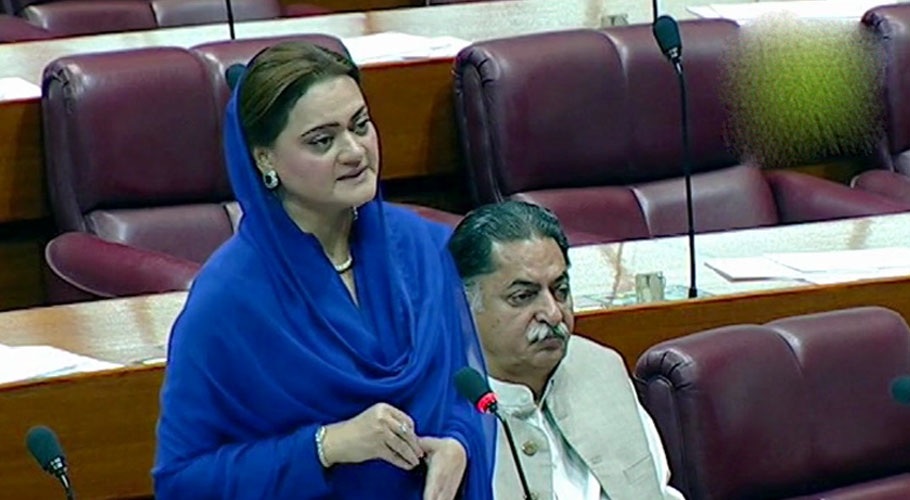 انسداد دہشت گردی کے خاتمے کیلئے حکومت نیشنل ایکشن پلان پر نظر ثانی کررہی ہے، مریم نواز