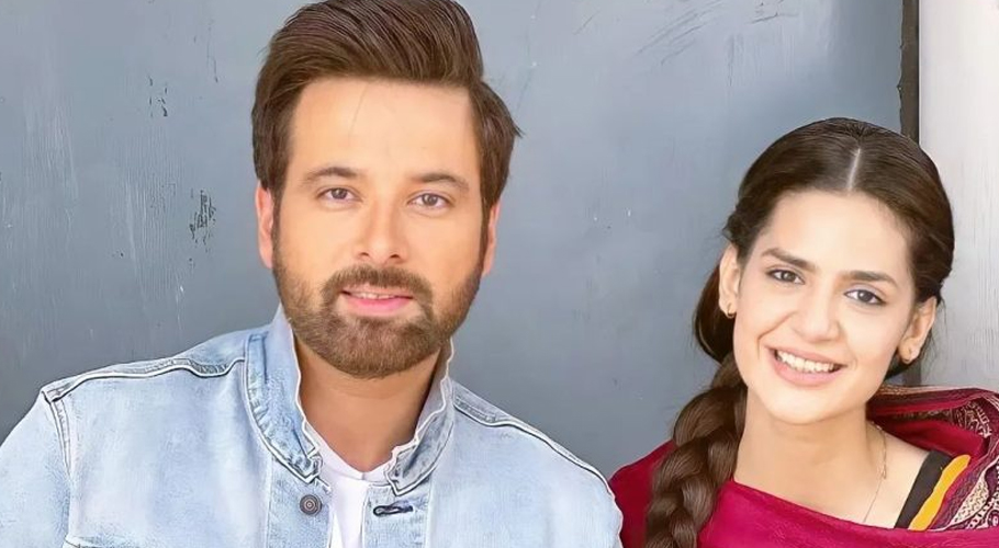 میکال ذوالفقار اور مدیحہ امام کے نئے ڈرامے کا تصویری تجزیہ