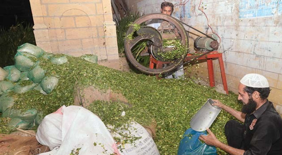 جانوروں کے چارے کی قیمتوں میں اضافہ، مویشی مالکان پریشان