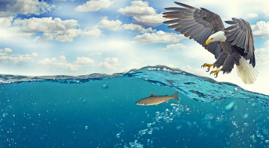 آبی حیات کا تحفظ اہم، دُنیا بھر میں سمندروں کا عالمی دن آج منایا جارہا ہے