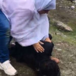 خاتون ڈاکٹر کا بڑا کارنامہ، جھیل میں ڈوبنے والے کم عمر لڑکے کی جان بچالی