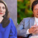 عمران خان واپس آجائیں تو پاکستان کو مشکل حالات سے نکالا جاسکتا ہے, ثمینہ پیرزادہ